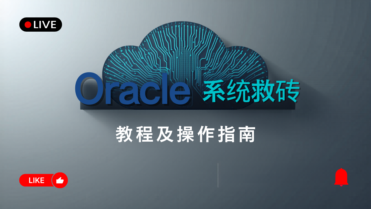 甲骨文云 (Oracle Cloud) 变砖失联？一文教你使用官方方法无损救砖！
